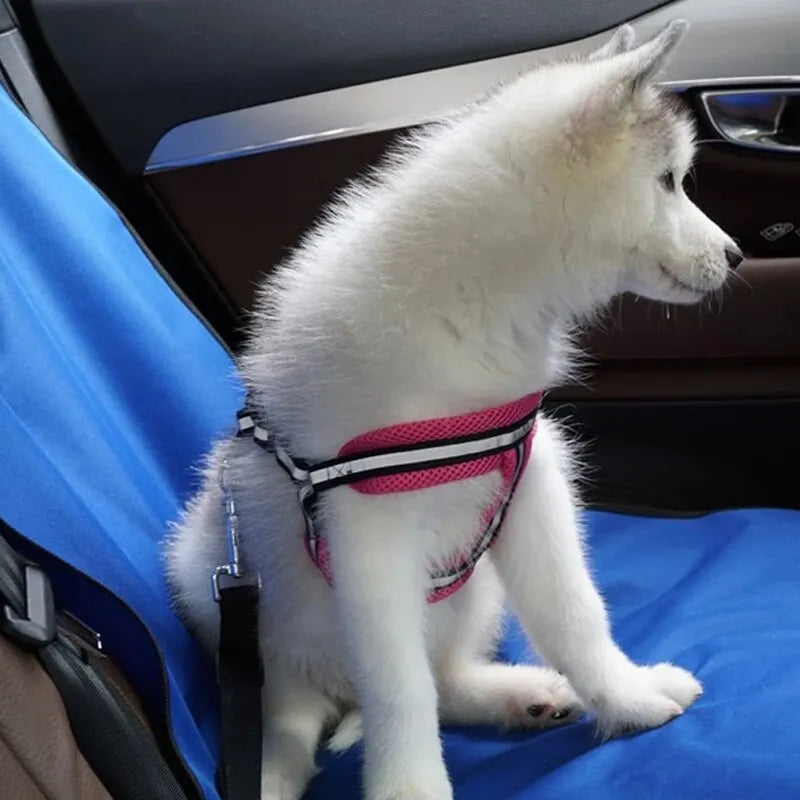 π car seat mat!