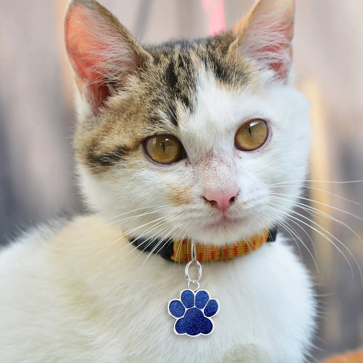 Lovely name pet tag!