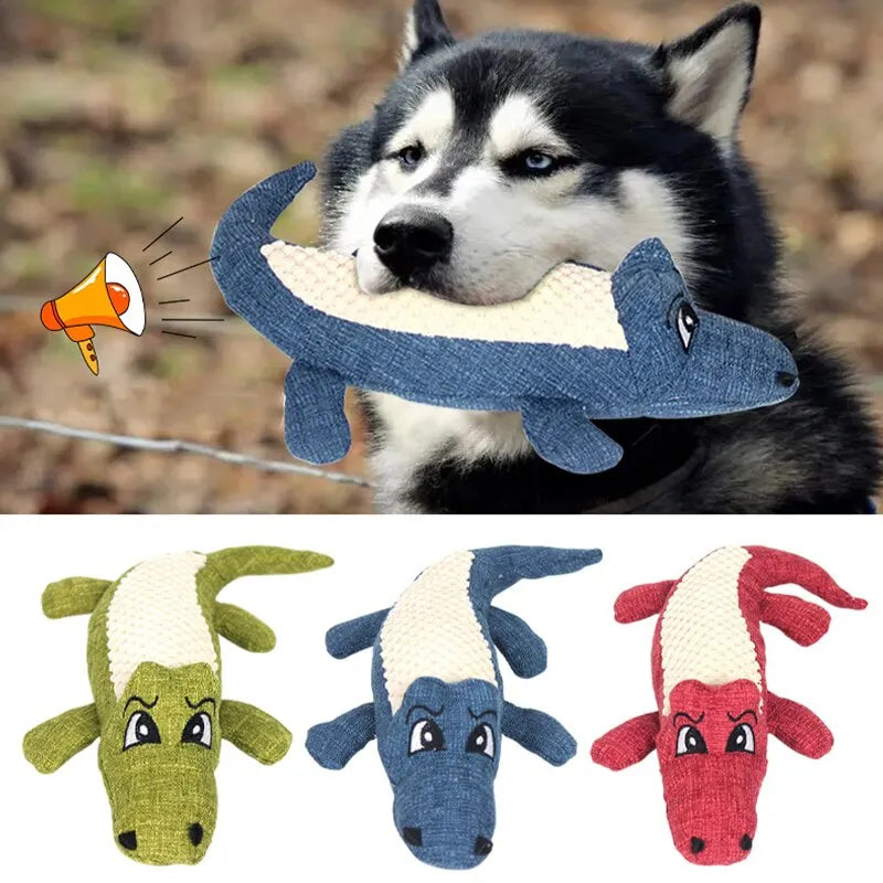 Ready To Bite crocodile🐊